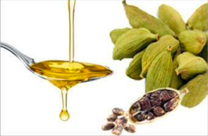 Green Cardamom Oil