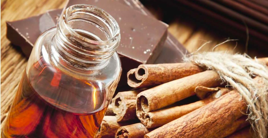 Cinnamon Bark Oil