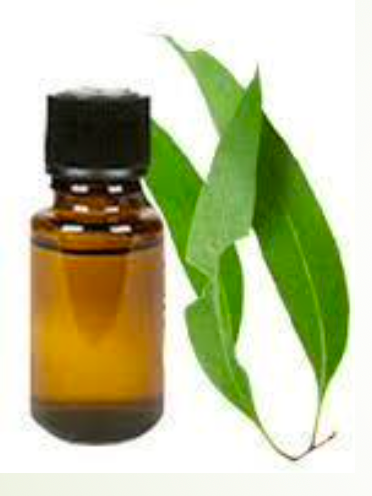 Clove Leaf Oil