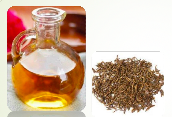 Clove Stem Oil
