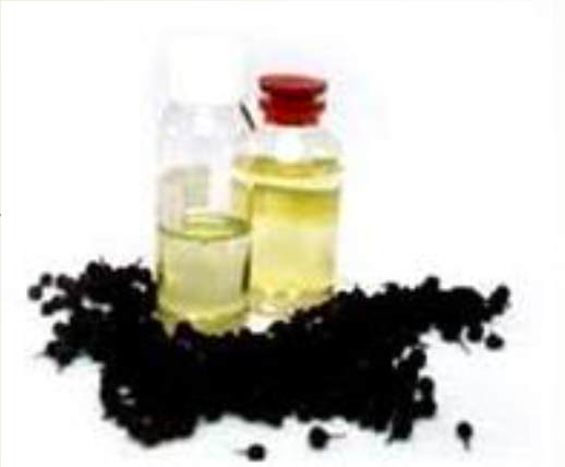 Cubeb Oil