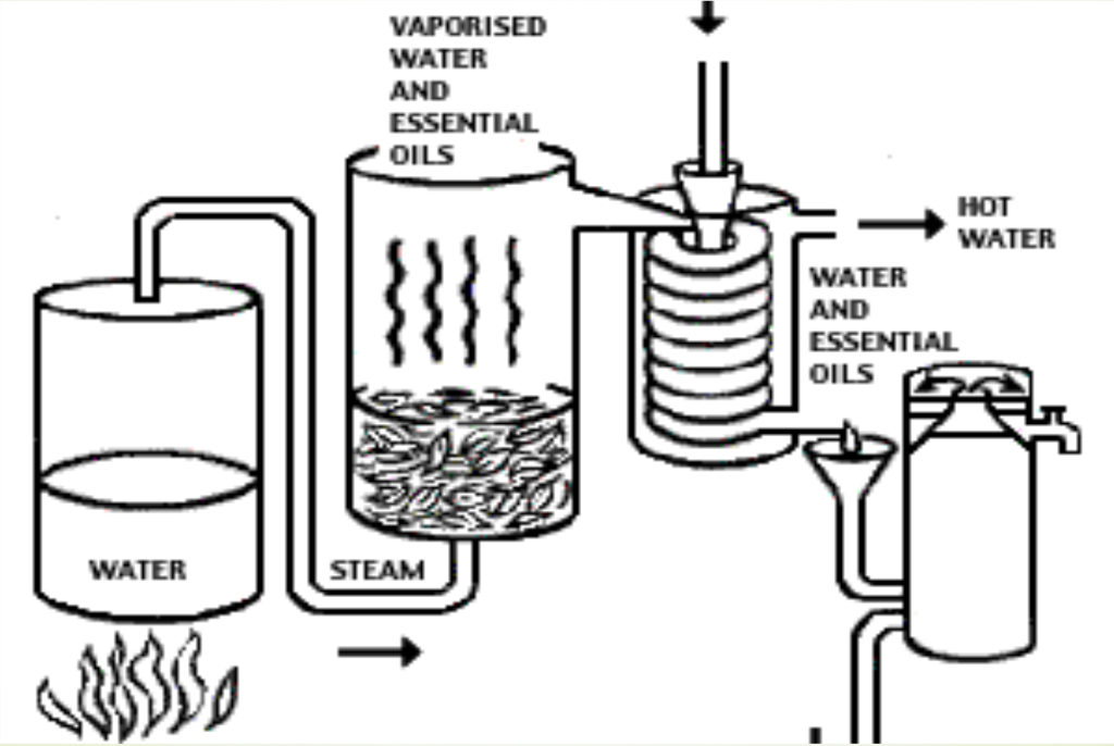 Steam Distillation Process Diagram