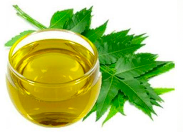Neem Oil